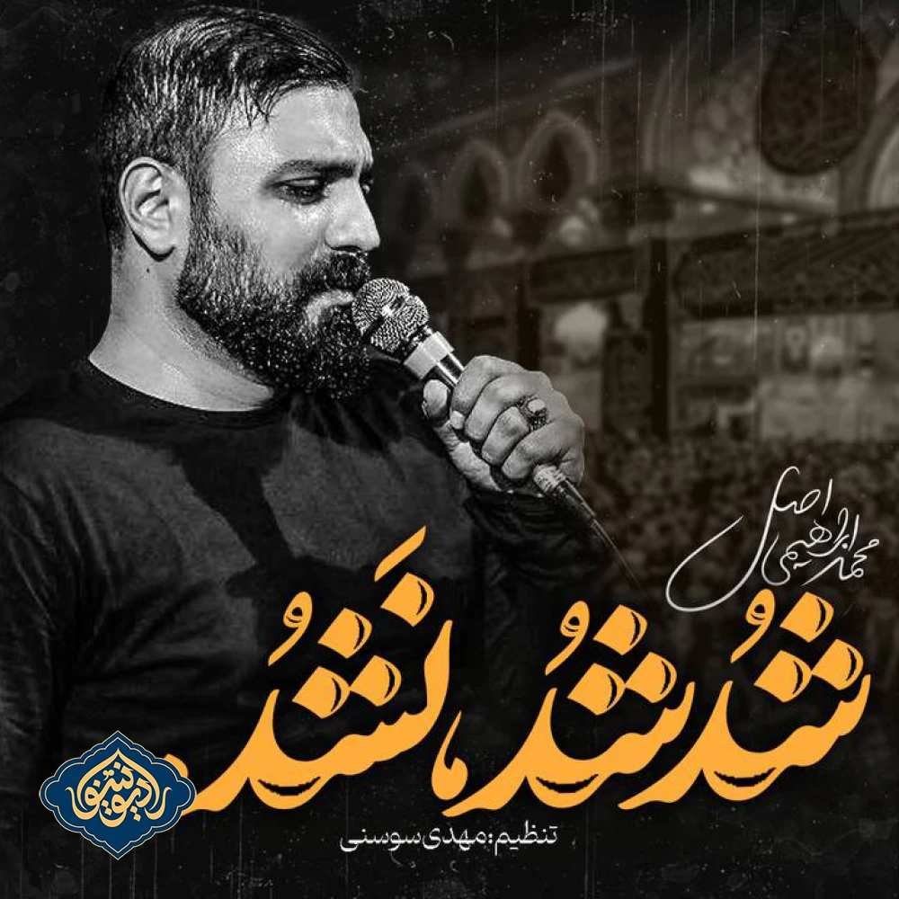 نواهنگ شد شد نشد میرم کربلا محرم ۱۴۰۳ محمد ابراهیمی اصل